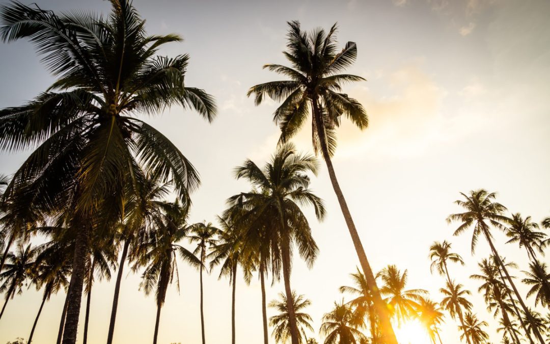 カリフォルニア州ロサンゼルスにおけるスクラムの現在地：課題、コミュニティ、トレンド、そして独自の特性